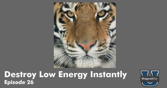 Bhagavad Gita Summary - How To Destroy Low Energy almost instantly