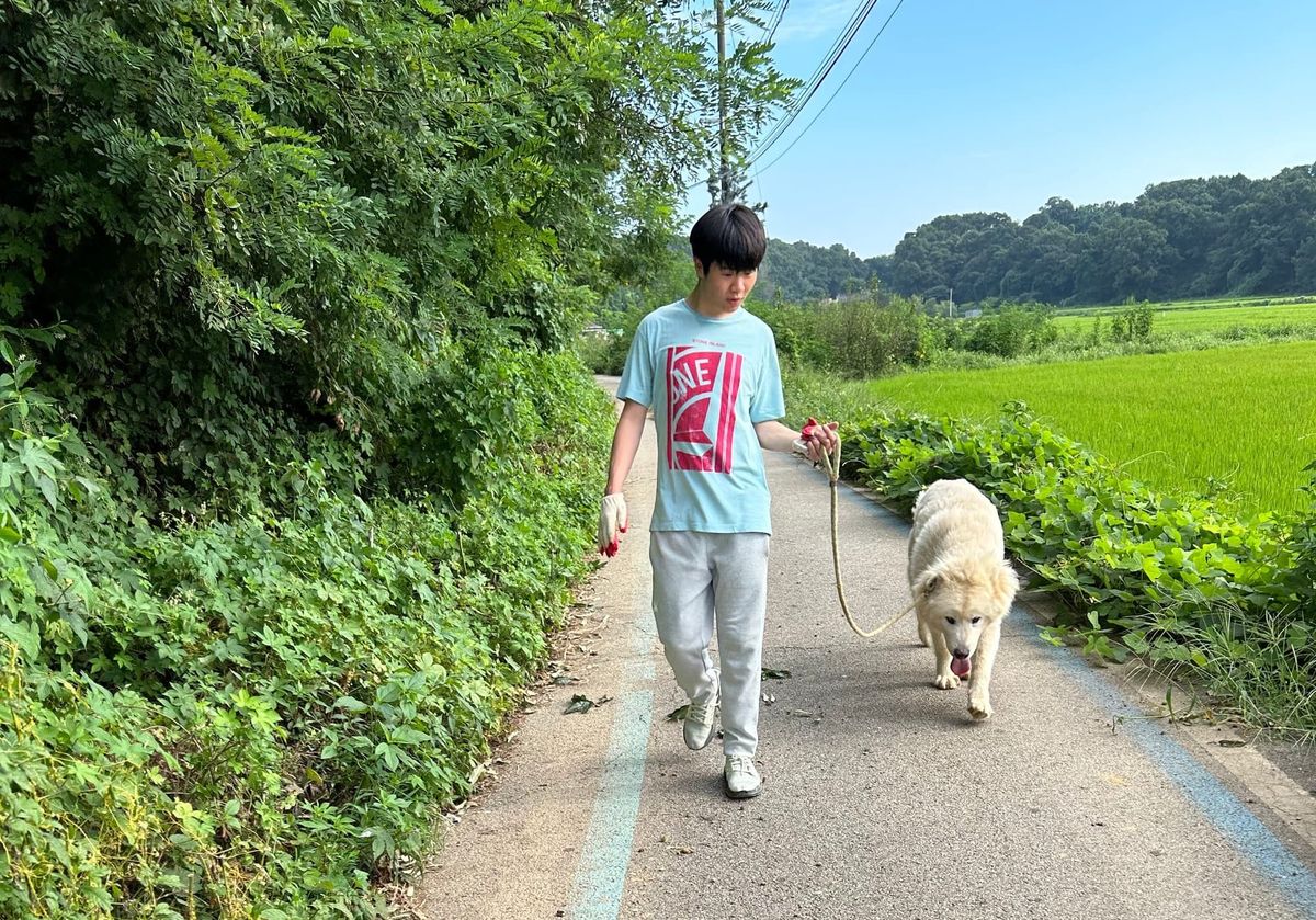 Help Save Korean dogs - Part 2