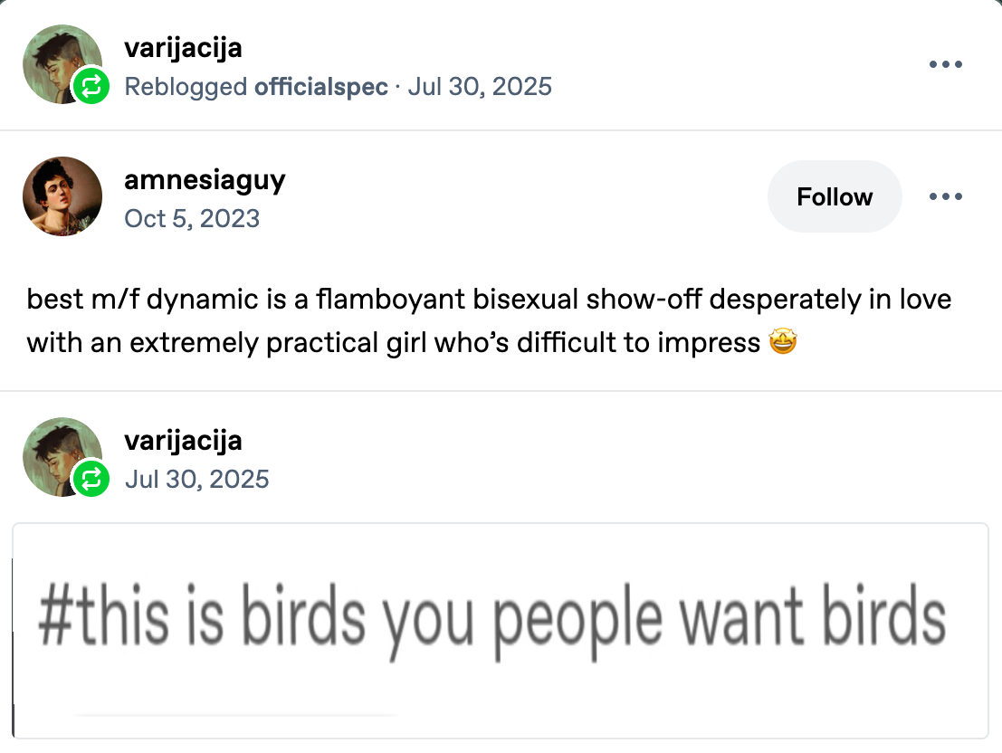 tumblr screenshot: tumblr user amnesiaguy Oct 5, 2023 best m/f dynamic is a flamboyant bisexual show-off desperately in love with an extremely practical girl who's difficult to impress. tumblr user varijacija Jul 30, 2025 #this is birds you people wants birds