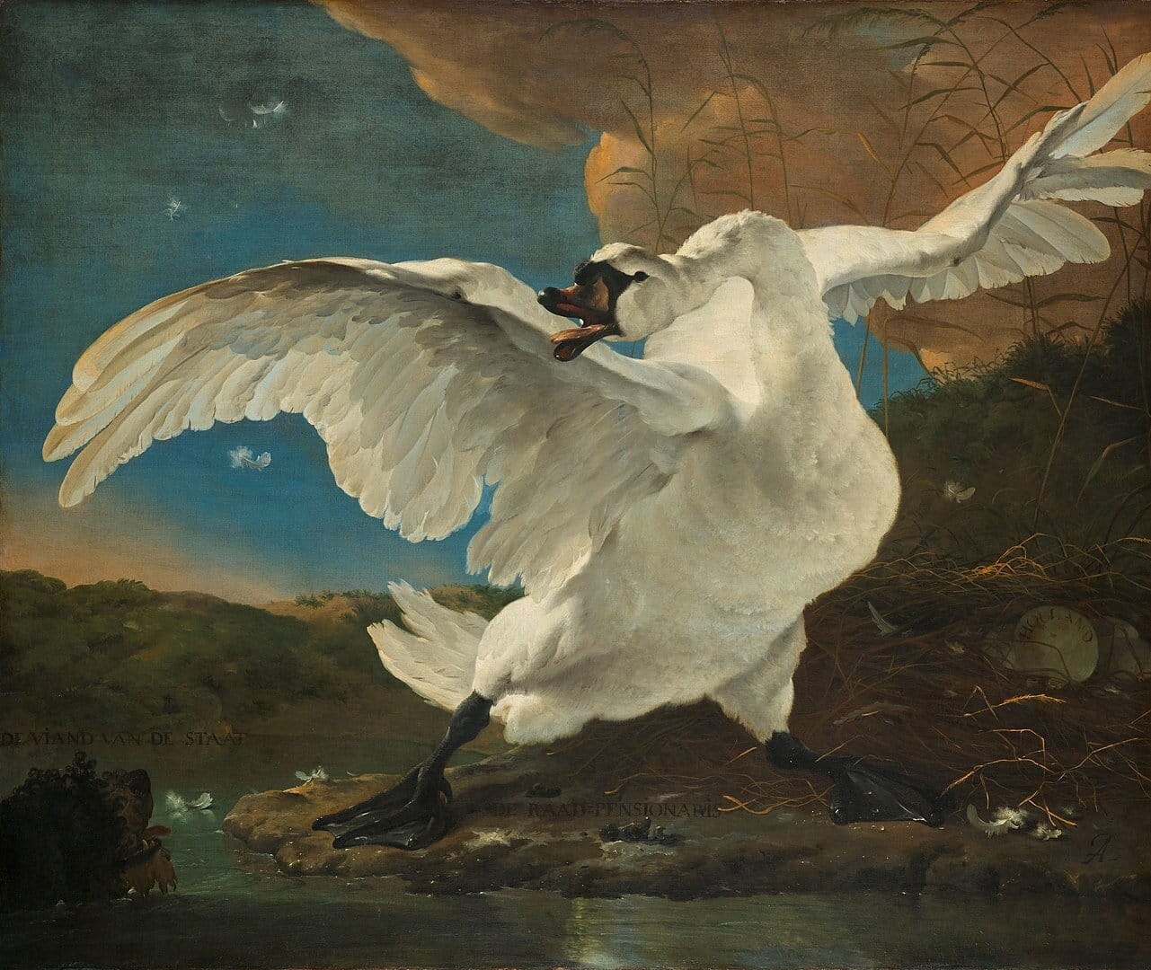 The Threatened Swan, Jan Asselijn, 1650, source. This is a “fuck around and find out” pose if I’ve ever seen one.