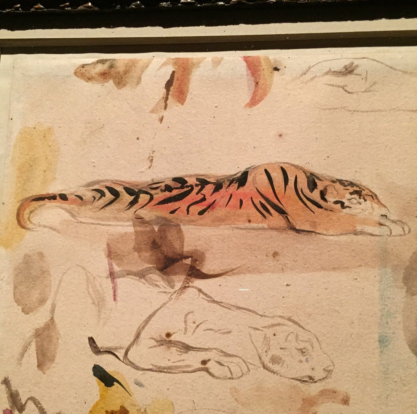 Look how floppy and flat they are. I bet these tigers were butter gremlins.