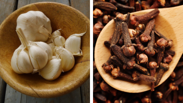 A photo of garlic cloves on the left and a photo of cloves (the spice) on the right