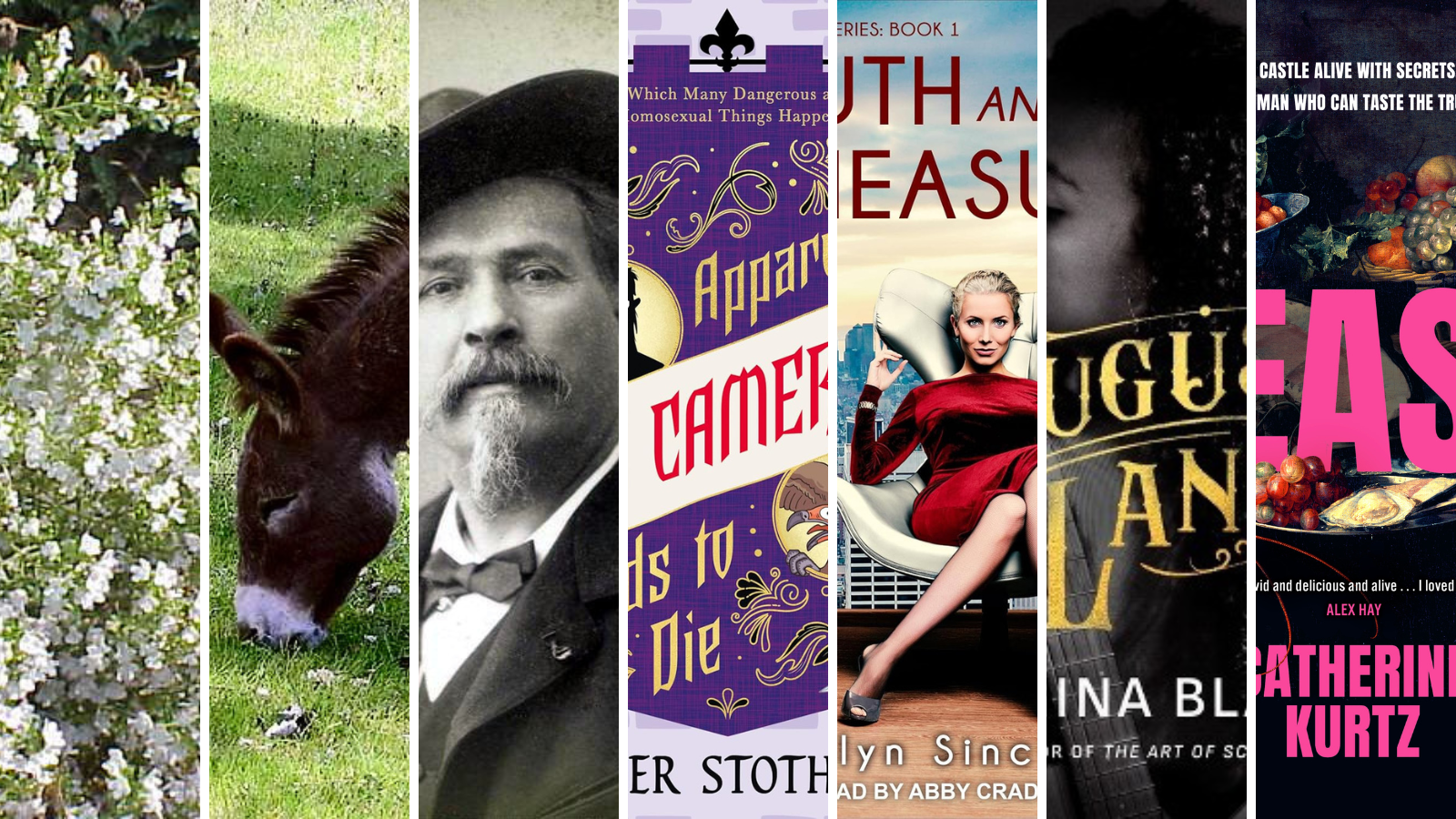 seven slices of different images: savory in bloom, a donkey, a black and white photo of Frédéric Mistral, and four book covers