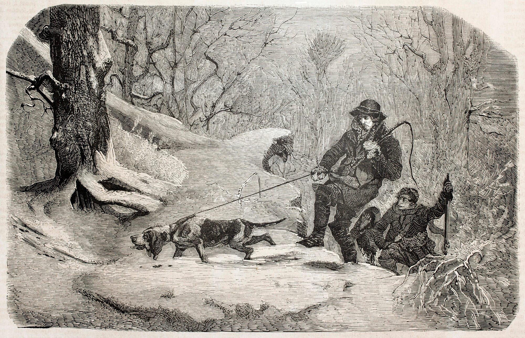 Bloodhounds and red herrings