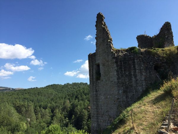 Fo(u)nt of wisdom or whatever