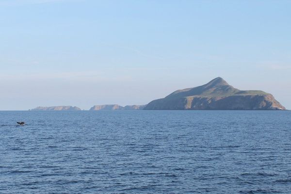 Flukes and celebrity sightings