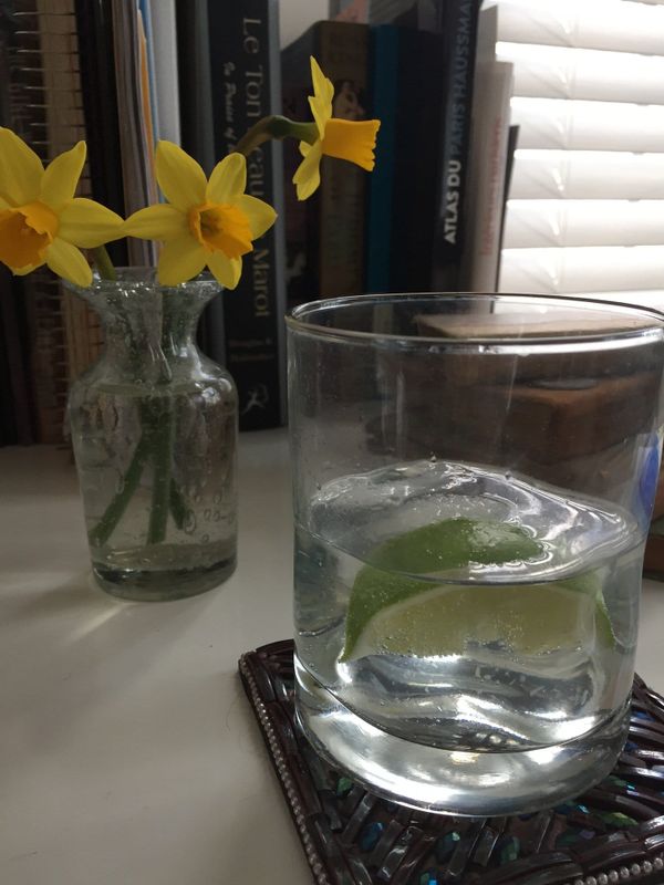 A pitcher of gin and tonic