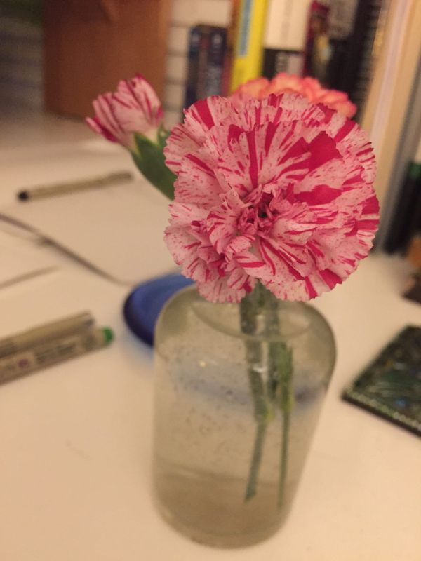 Cloven, clove, cleaved, cleft