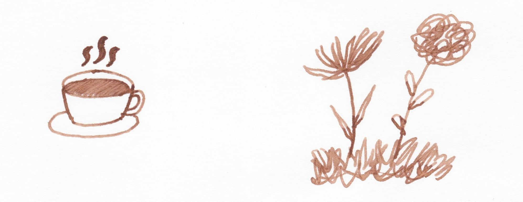 On left, a doodle of a cup of coffee or hot chocolate with steam lines rising from the cup; on right squiggly doodles of two different flowers in grass
