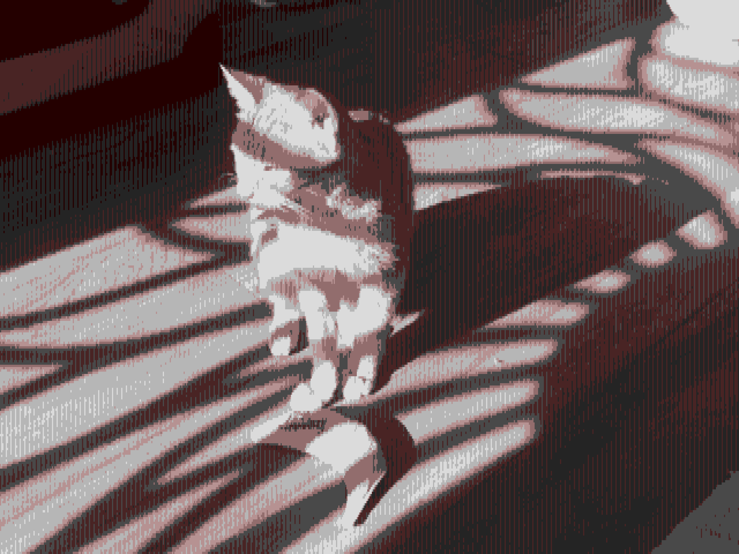 Same image of the cat as described above, but with an old computer, low-res look composed of white, gray, dark gray, light brick red, dark brick red, and black pixels making up the picture.