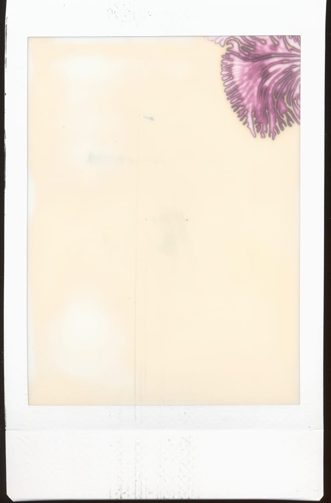 Instax Mini frame smeared with a little film development goo, showing an organic film development error, similar to pink coral shapes, or maybe a slice of a brain, in the top right corner