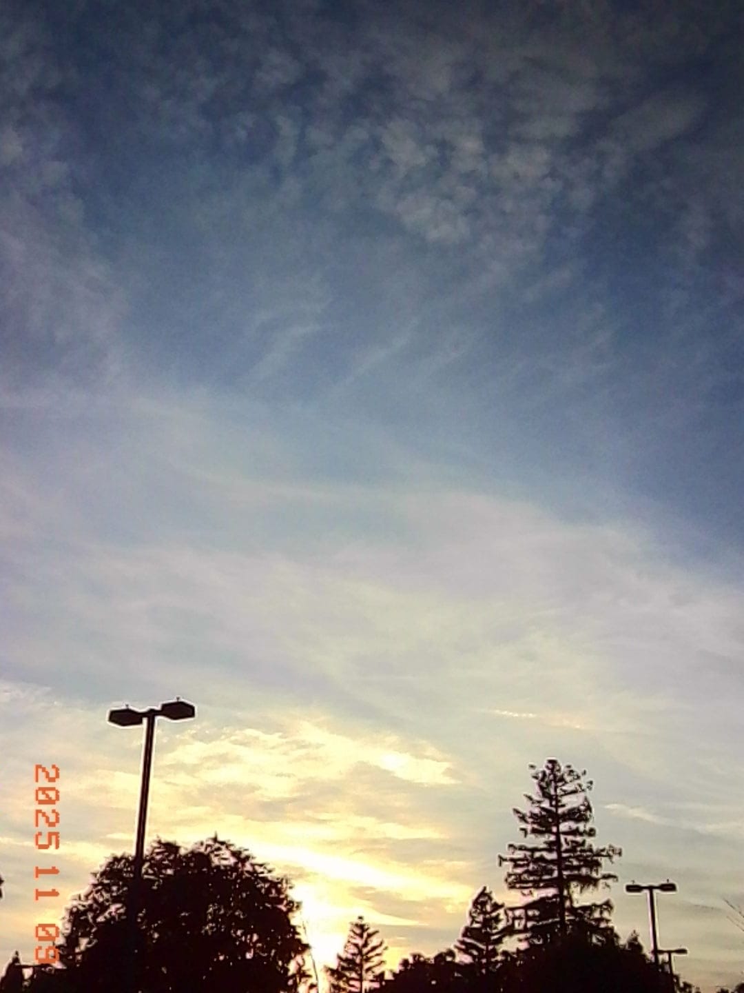 Low-res picture of a partly cloudy sky and overexposed sunlight areas at the bottom of the frame along with tree tops and some parking lot light silhouettes