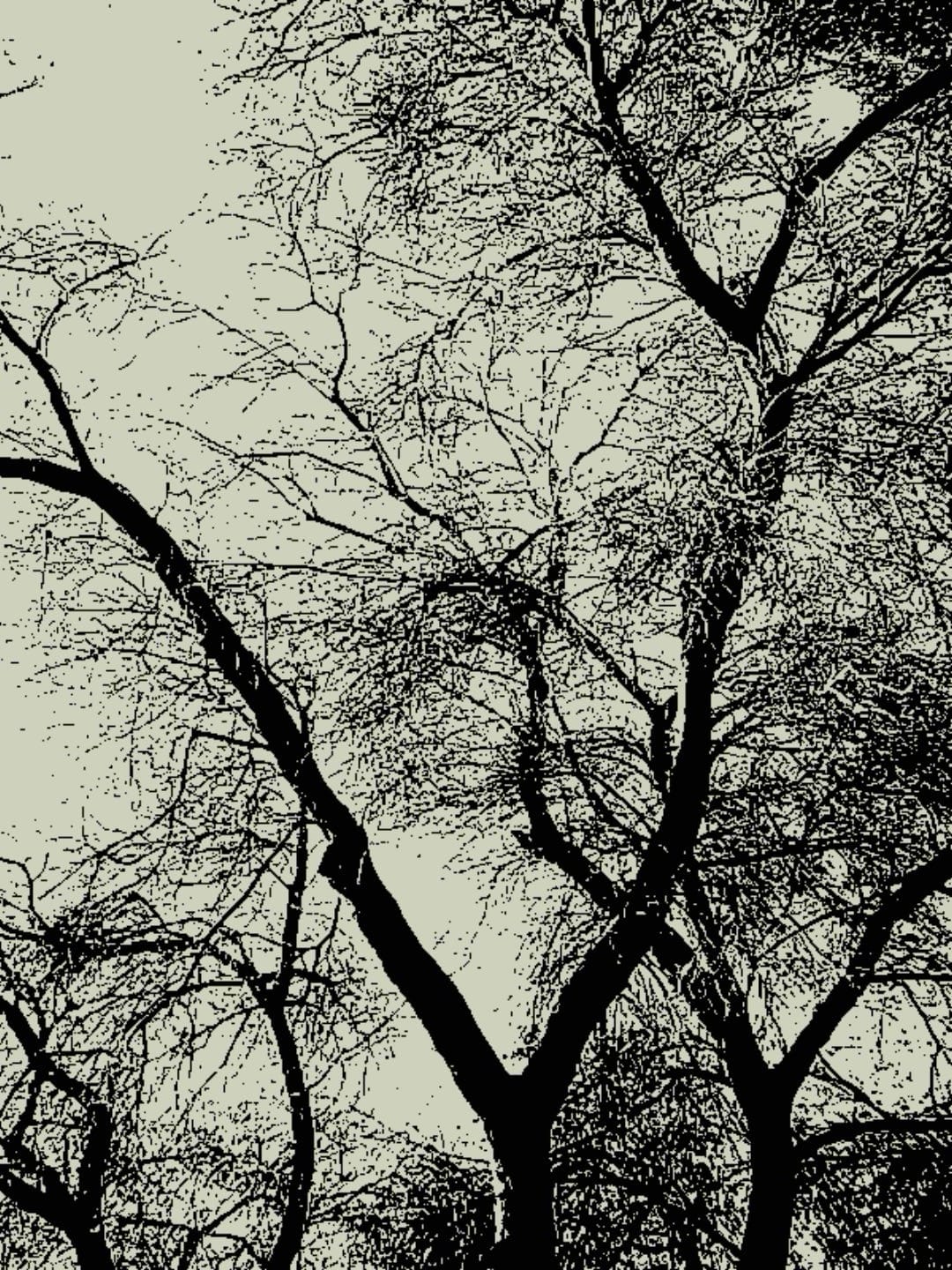 2-color (gray and black) pixelated image of tree branches