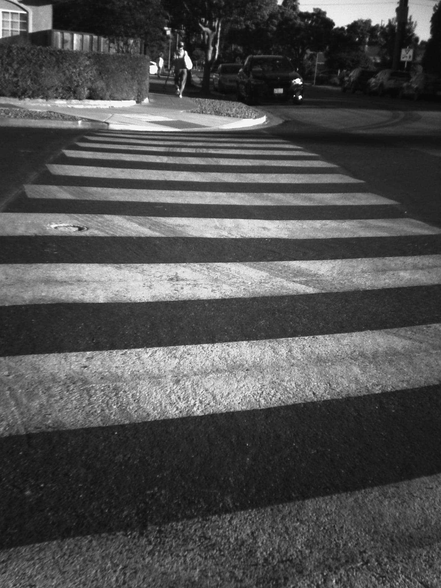 Black and white image of crosswalk stripes on asphalt, leading to a person walking ahead on the sidewalk, their back to the camera