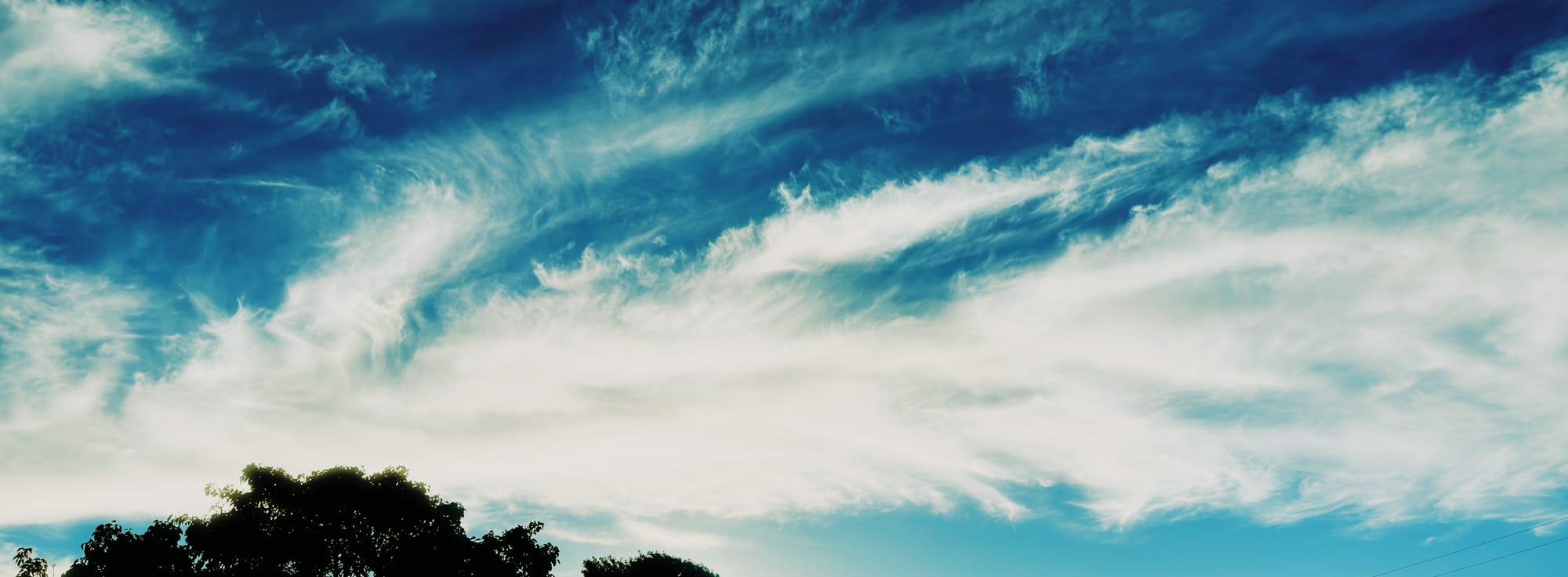 Deep blue sky, feathery blankets of clouds across a panoramic frame, with a treetop silhouette in bottom left corner