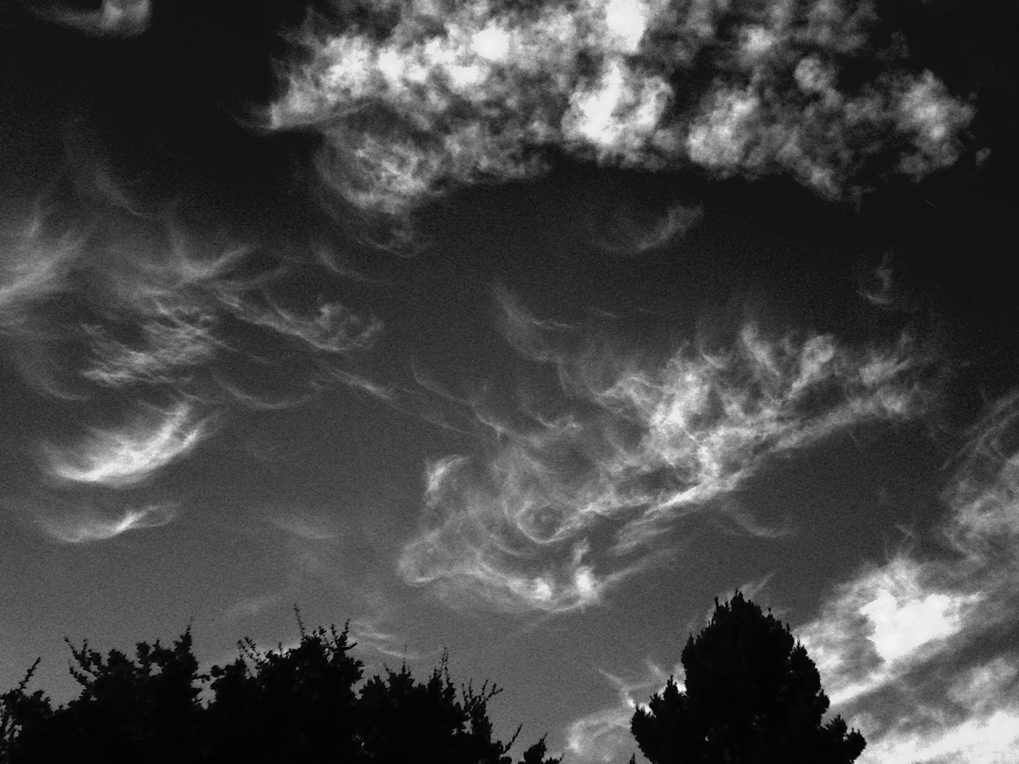 Black and white image of wispy and thin, cottony clouds in a dark sky, with some tree tops visible at the bottom of the frame