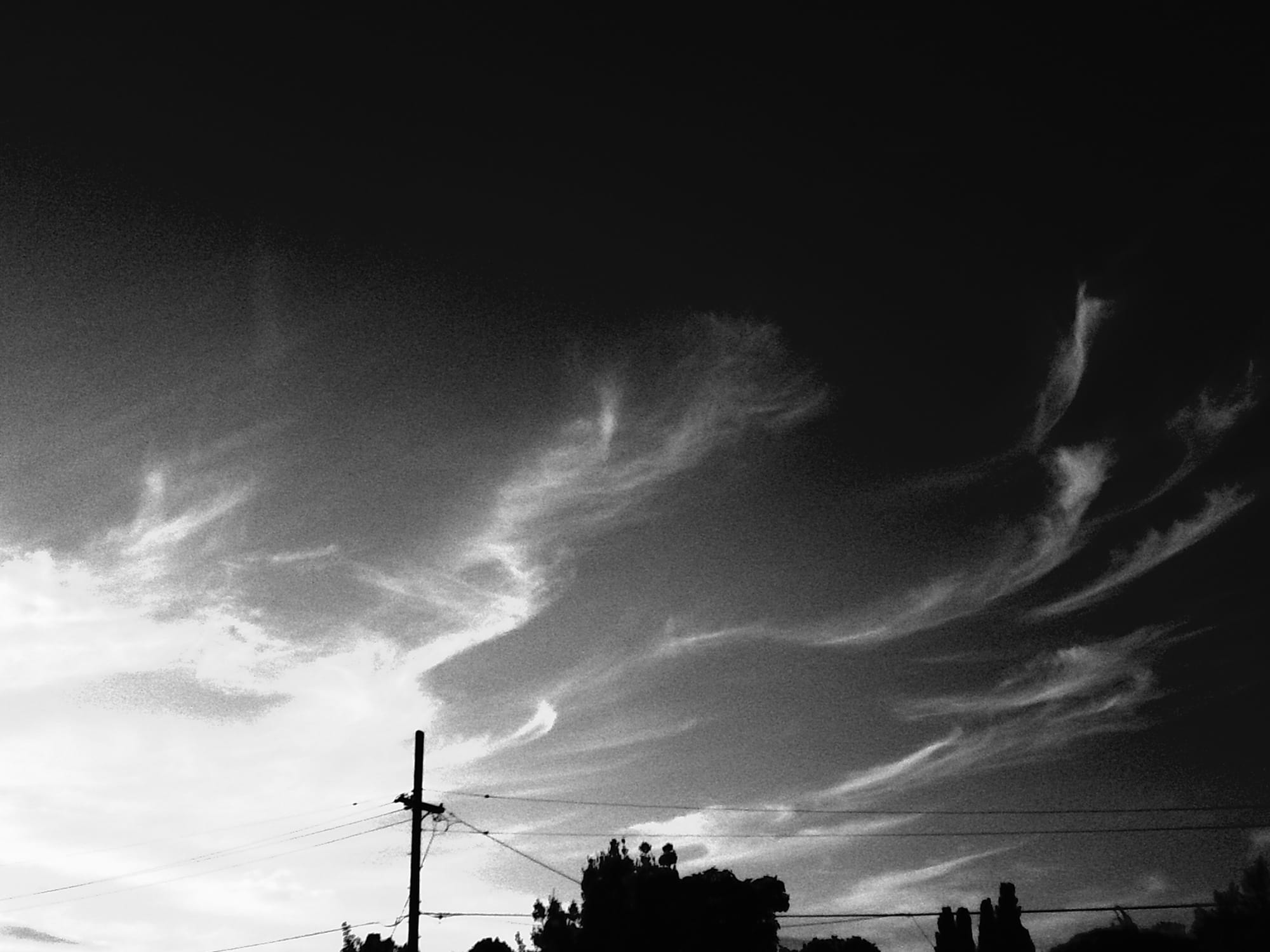 Black and white image of wispy cloud cover in a dark sky with power lines and tree tops silhouetted at the bottom of the frame, some strong sunlight blowing out the lower left corner of the frame