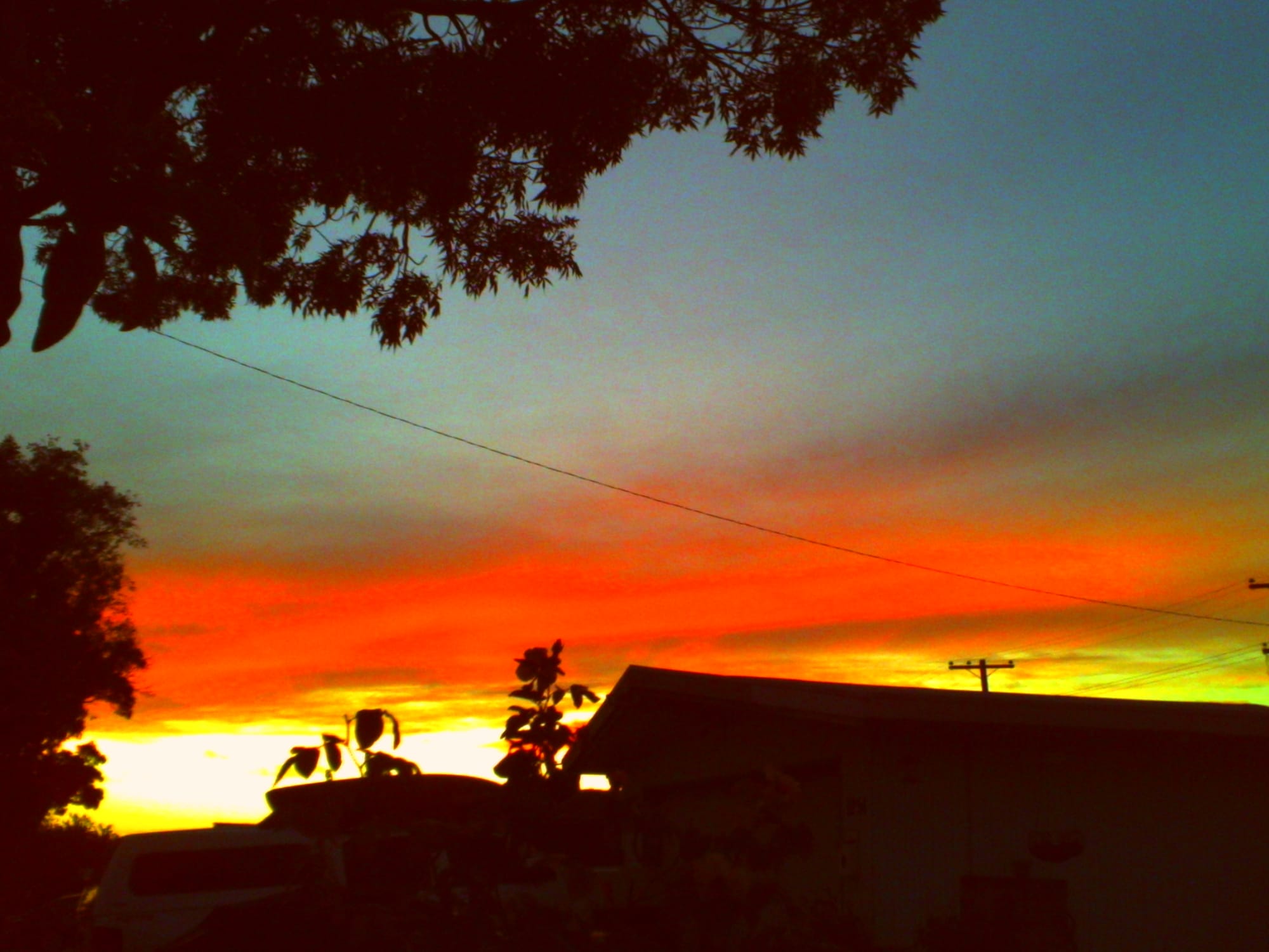 Sunset picture with unrealistically vivid red-orange, green, and yellow colors in the sky; trees, house, and power lines silhouetted in the foreground