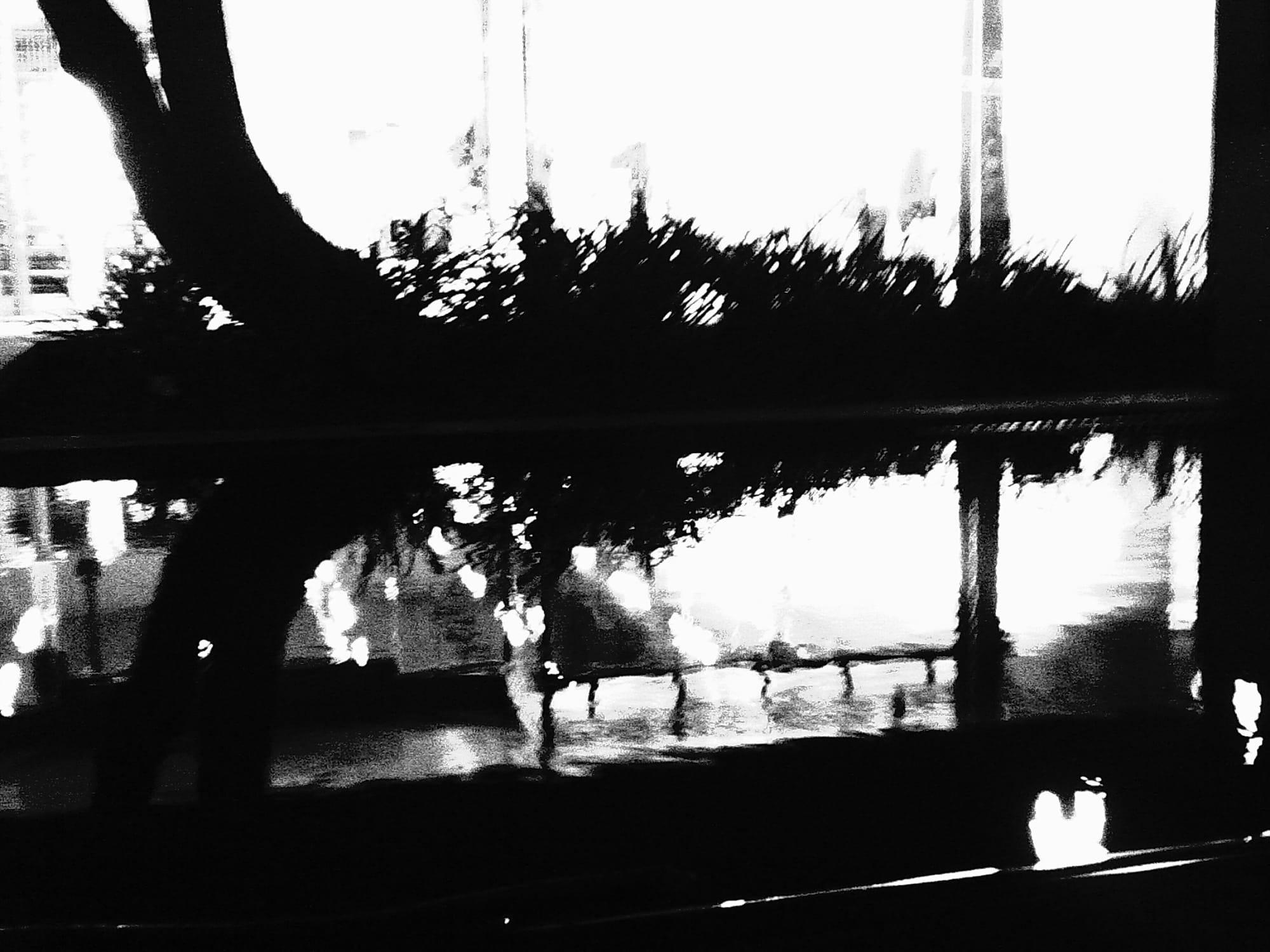 Black and white picture of a reflective pool of water in the foreground, some plants and part of a tree trunk in the background, and some overexposed store windows behind everything. The picture has motion blur.