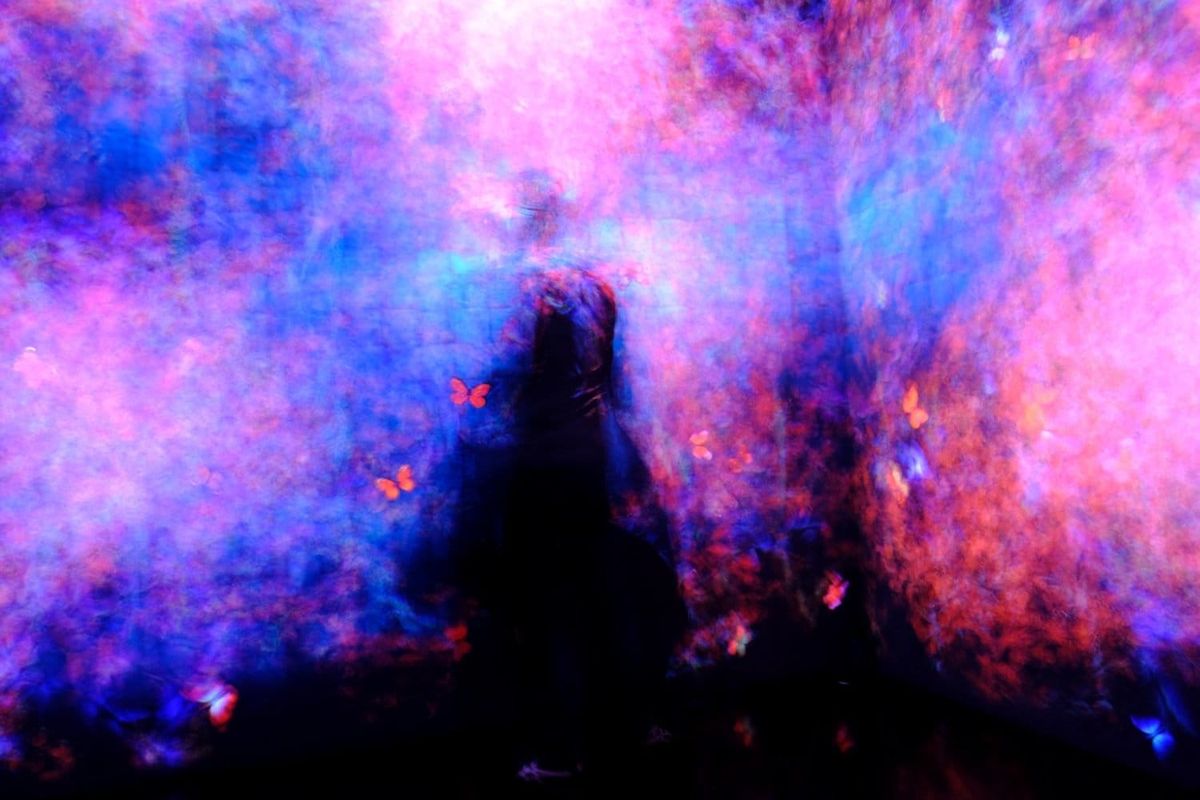 A dark, blurry silhouette of someone looking at colorful image projections of fluttering butterflies on the wall