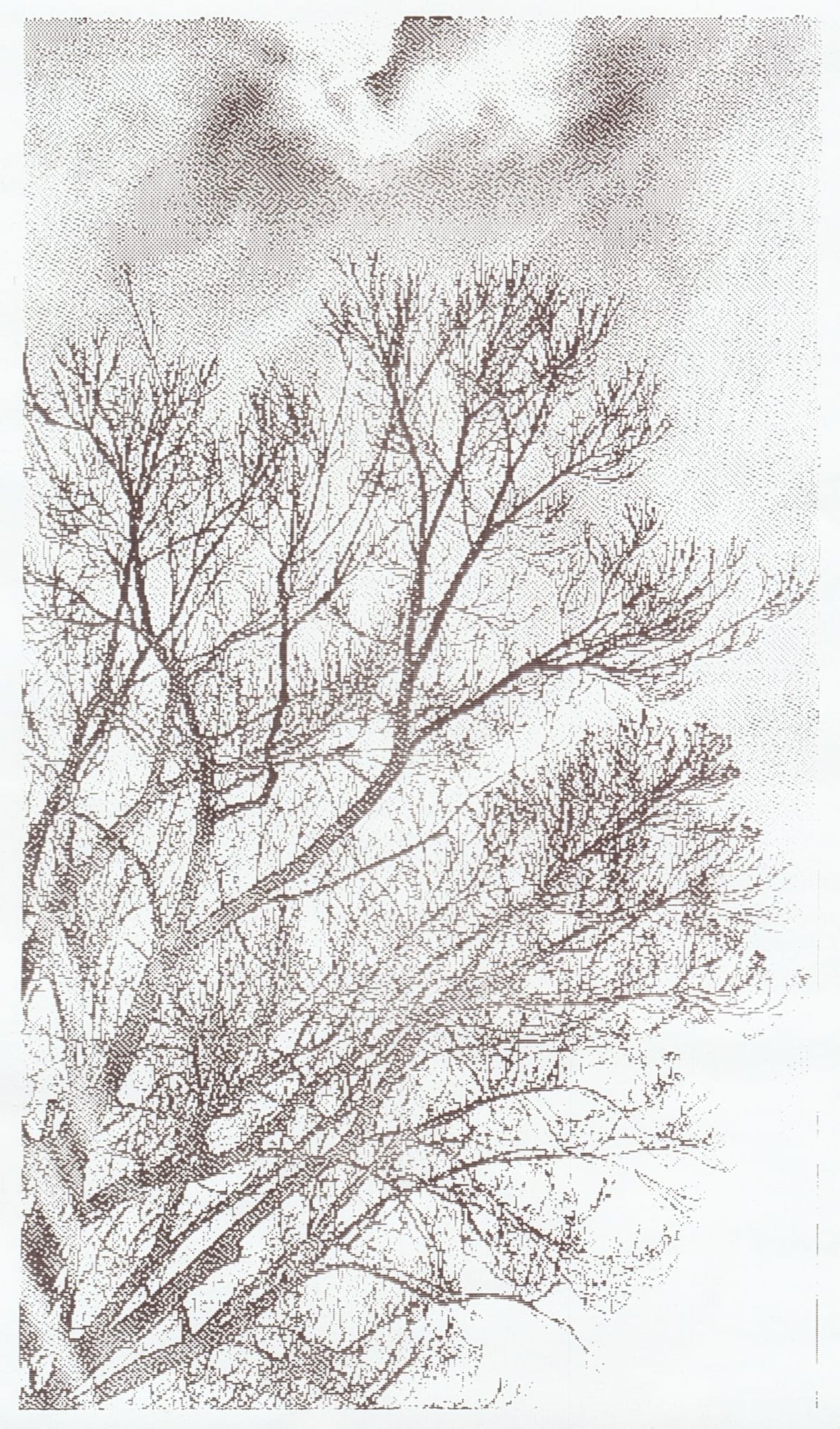 1-bit grayscale thermal print of tree branches against a partially cloudy sky, captured vertically
