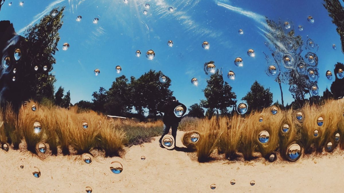 Picture a Day: Dec 6