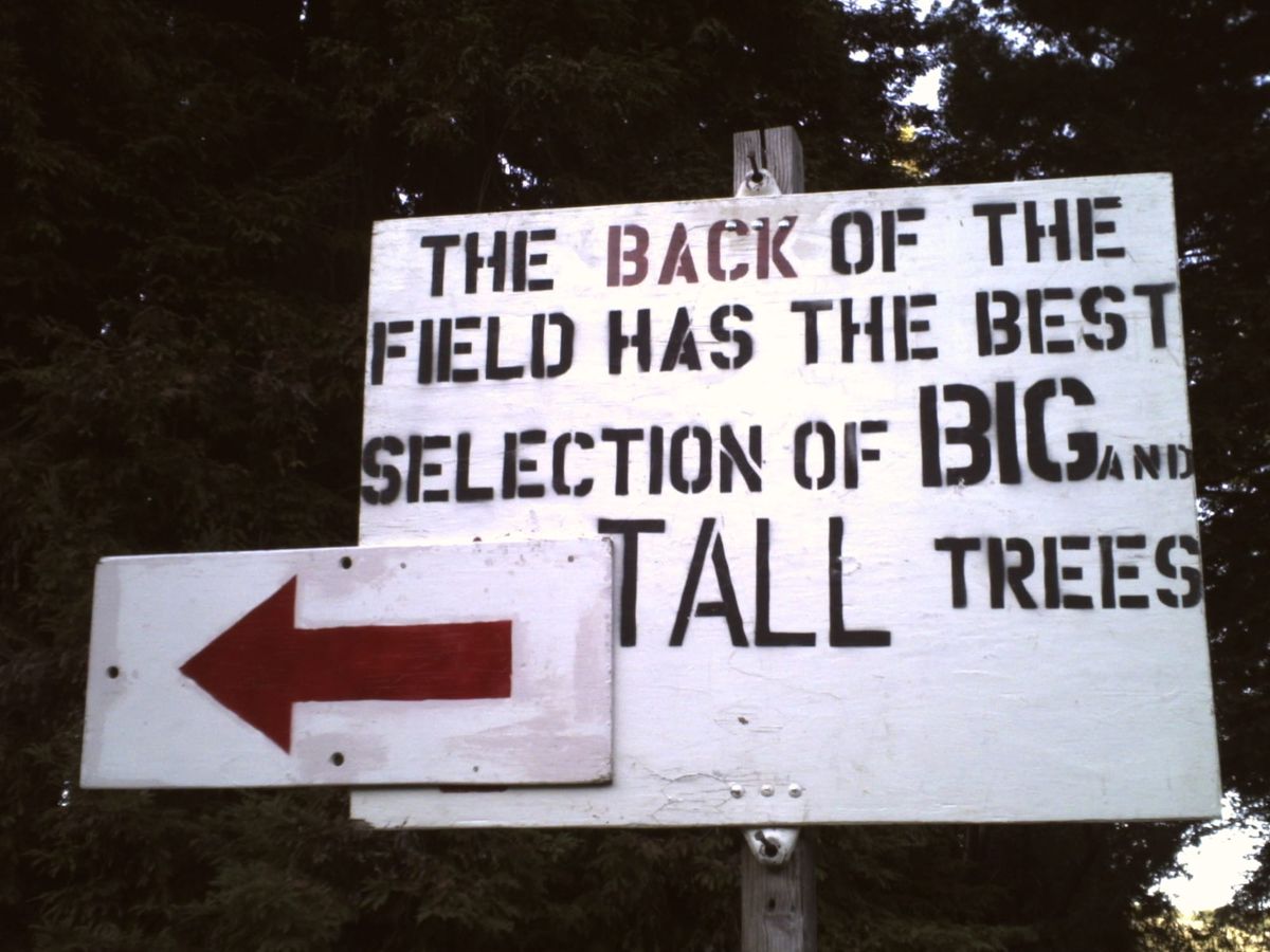 A white painted sign with black letters stenciled, "the back of the field has the best selection of big and tall trees"