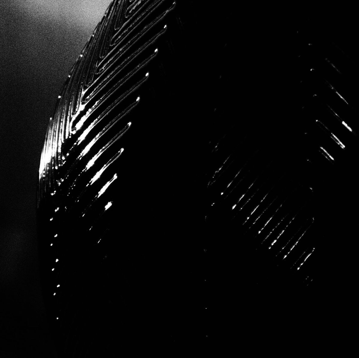 Black and white high-contrast picture of a mysterious textured, curvy surface, its details highlighted by sunlight