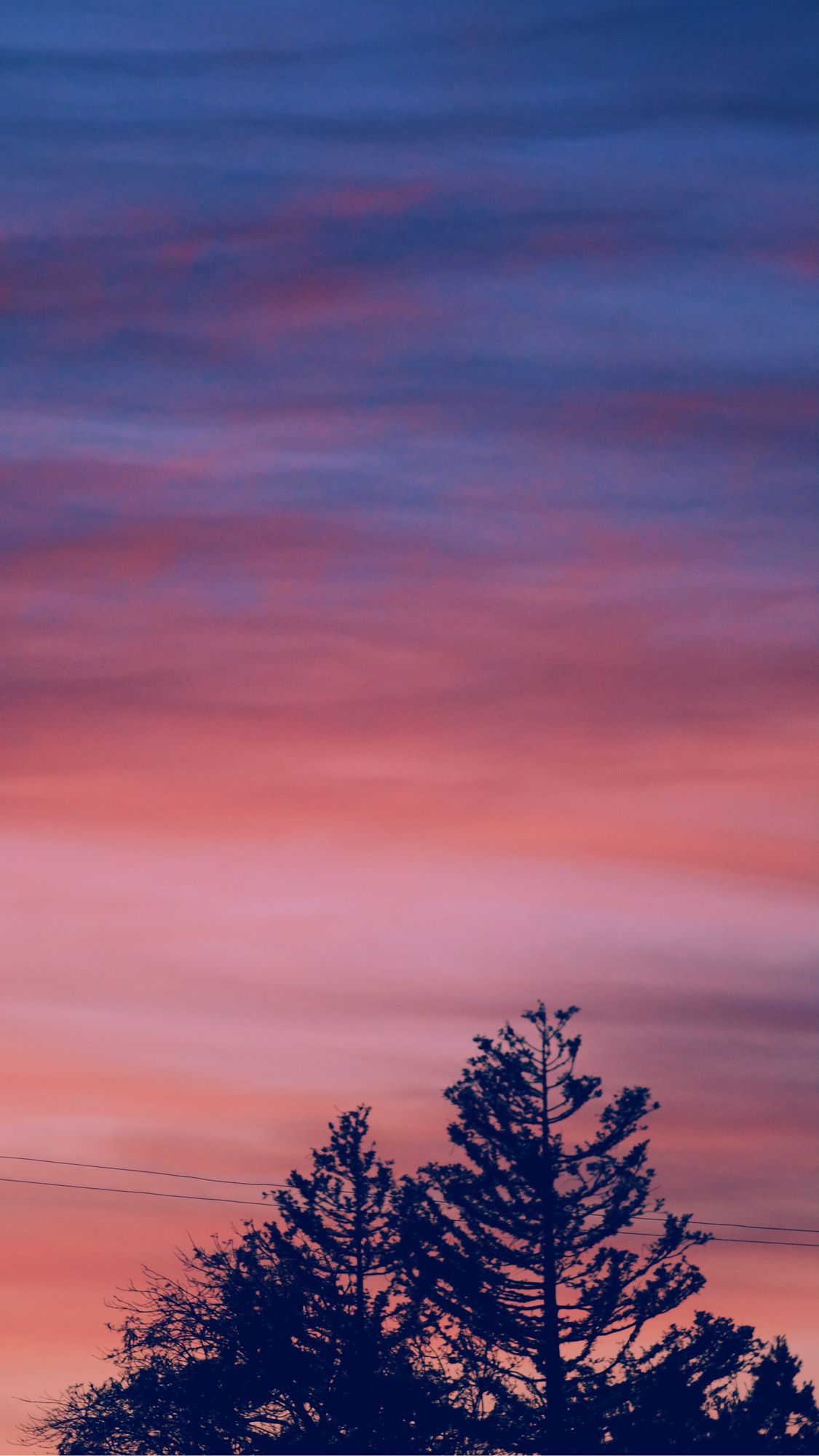 Sunset, dreamy layered clouds, pink, blue, and peach colors; the tops of trees and power lines silhouetted below