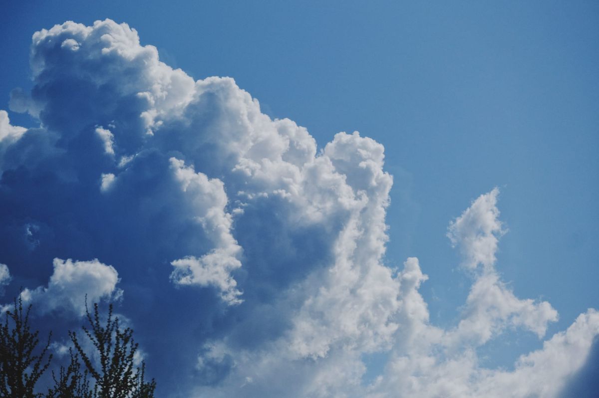 Voluminous clouds lit by stark sunlight, causing bright and shadowy areas, highlighting the cloud structures; spray of tree tops visible in lower left corner