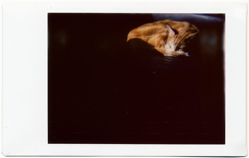 On orange tabby sleeping on a black chair, most of the frame in shadow, except for the cat's head and torso in bright sunlight