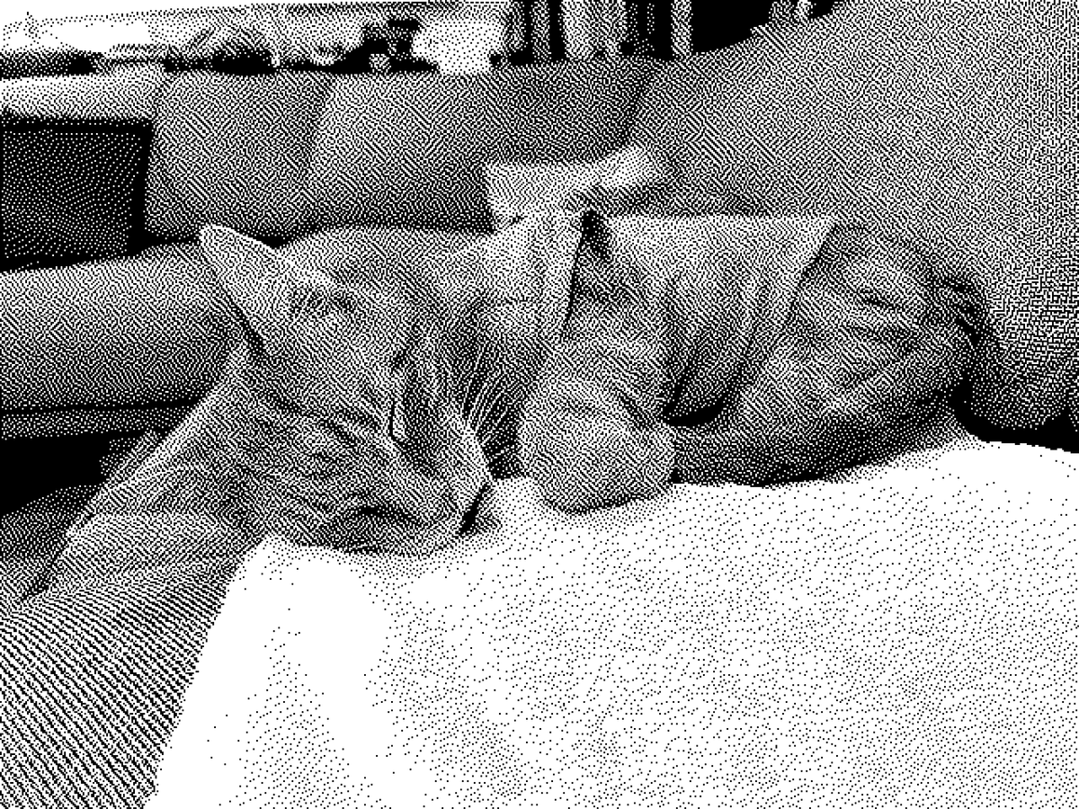 Monochromatic, pixelated picture of a cat wearing a sleeveless shirt sleeping on a white towel on a couch