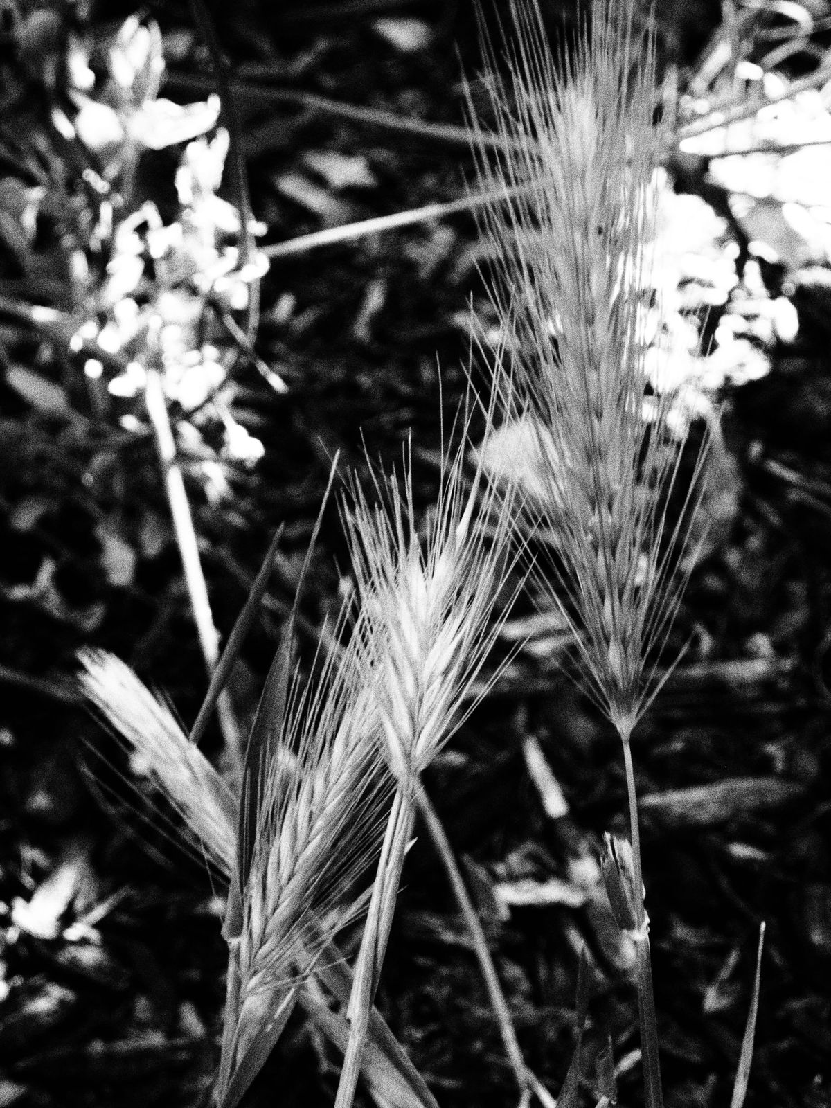 picture a day: may 11