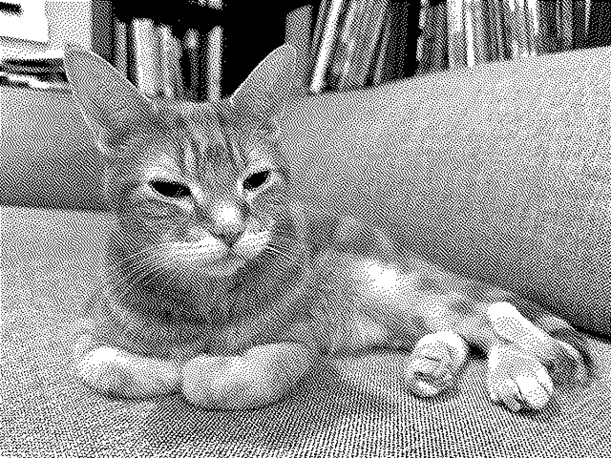 1-bit monochrome image of an orange tabby lying on his side on a couch, his front paws folded underneath his chest