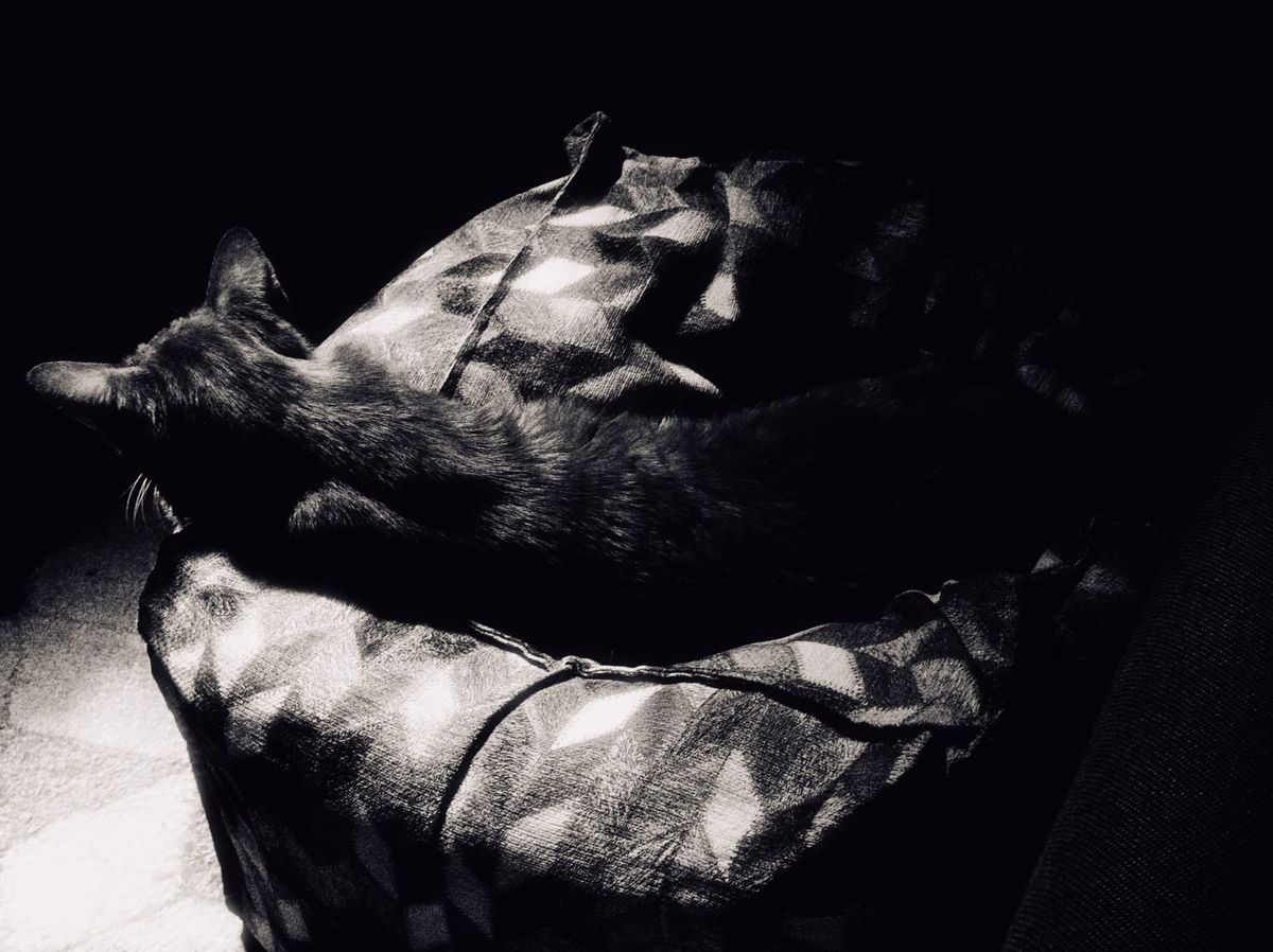 Black and white picture of an orange tabby lying on a cube-shaped pouf with a geometrical pattern, in very dark shadows because of the chosen dark exposure