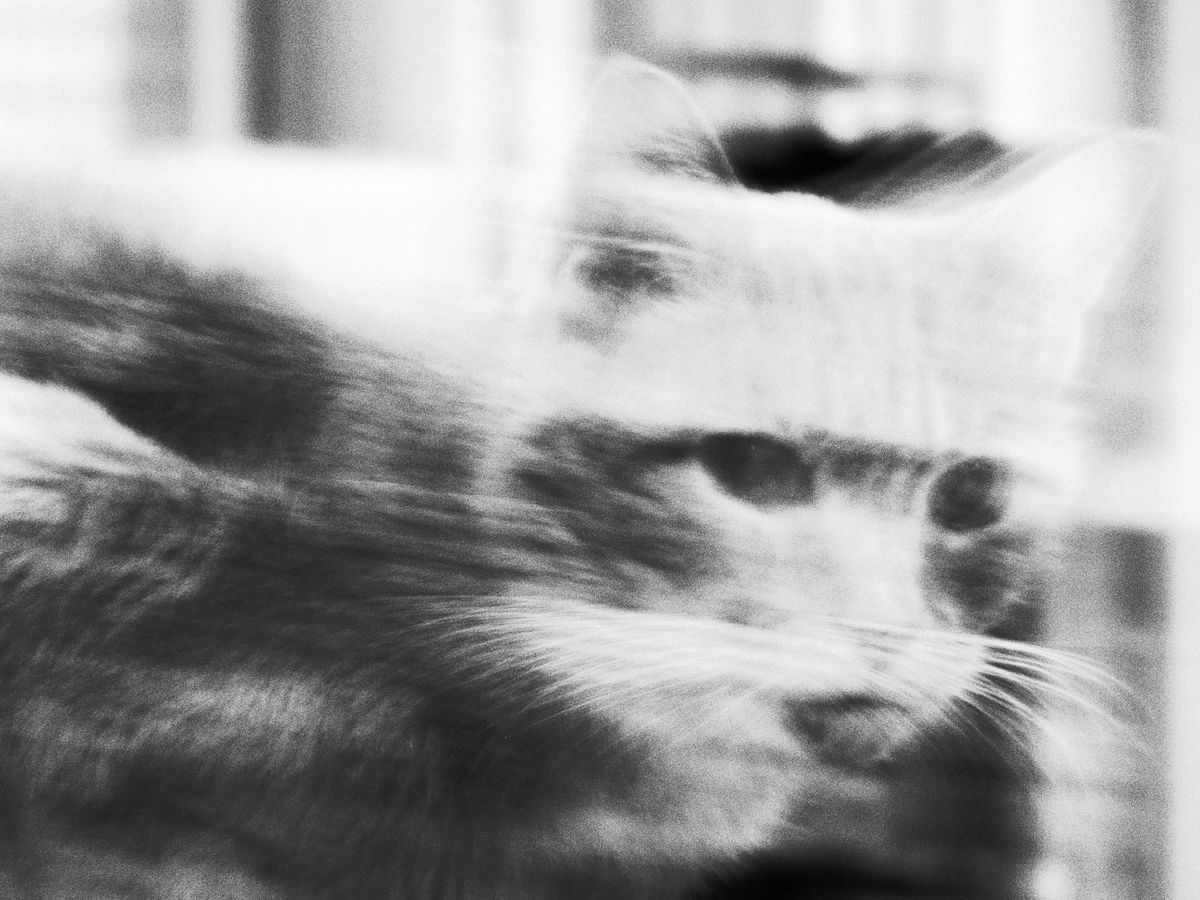 picture a day: jul 31