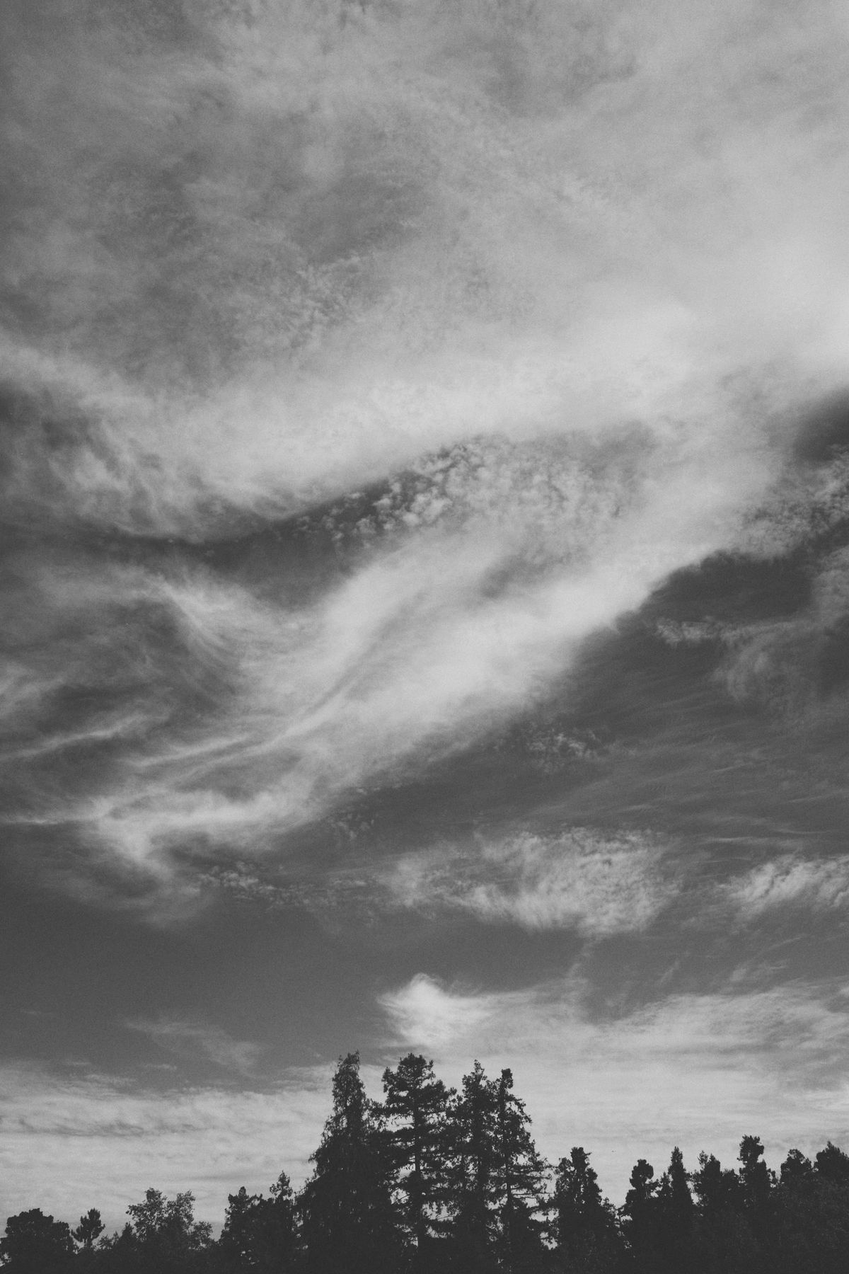 Black and white image of a dark treeline silhouette with thick cloud cover at the top third of the frame, and wispier as it nears the trees