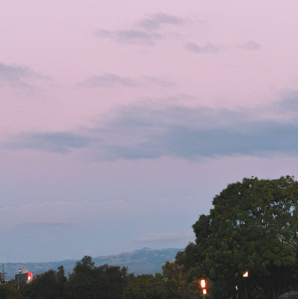 Low-contrast scene with muted colors: light pink, partly cloudy sky with partial view of hills on horizon, dark green tree tops in foreground, park lights shining brightly