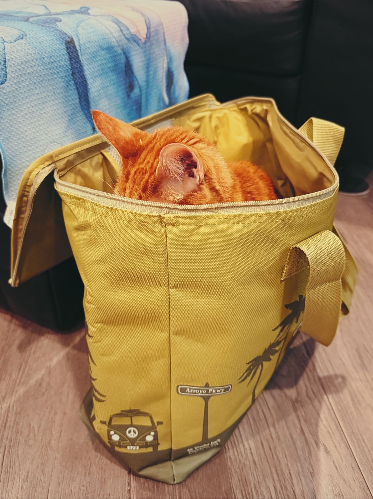 An orange tabby sitting in an olive green insulated bag, only his ears and the top of his head fully visible from outside the bag