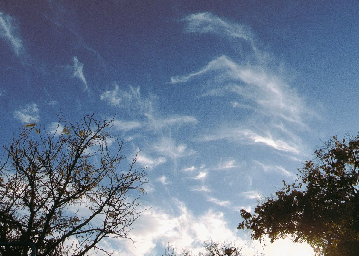 Interesting formation of wispy clouds in a late afternoon sky, some tree tops visible in the bottom corners