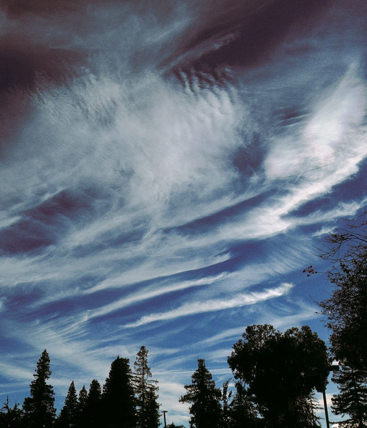 Blanket of clouds in a medium dark blue sky, tree line silhouette along the bottom of the frame