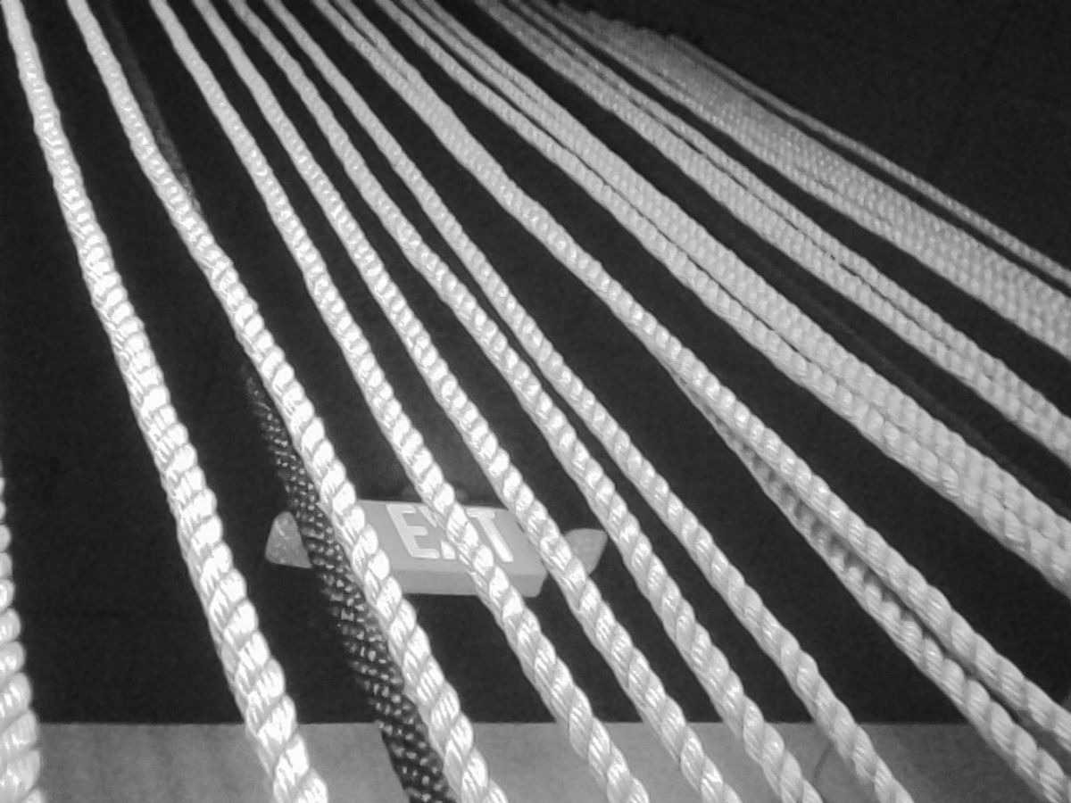 Black and white image of several ropes hanging from a black ceiling, with an exit sign seen behind, the "xi" obscured by a rope