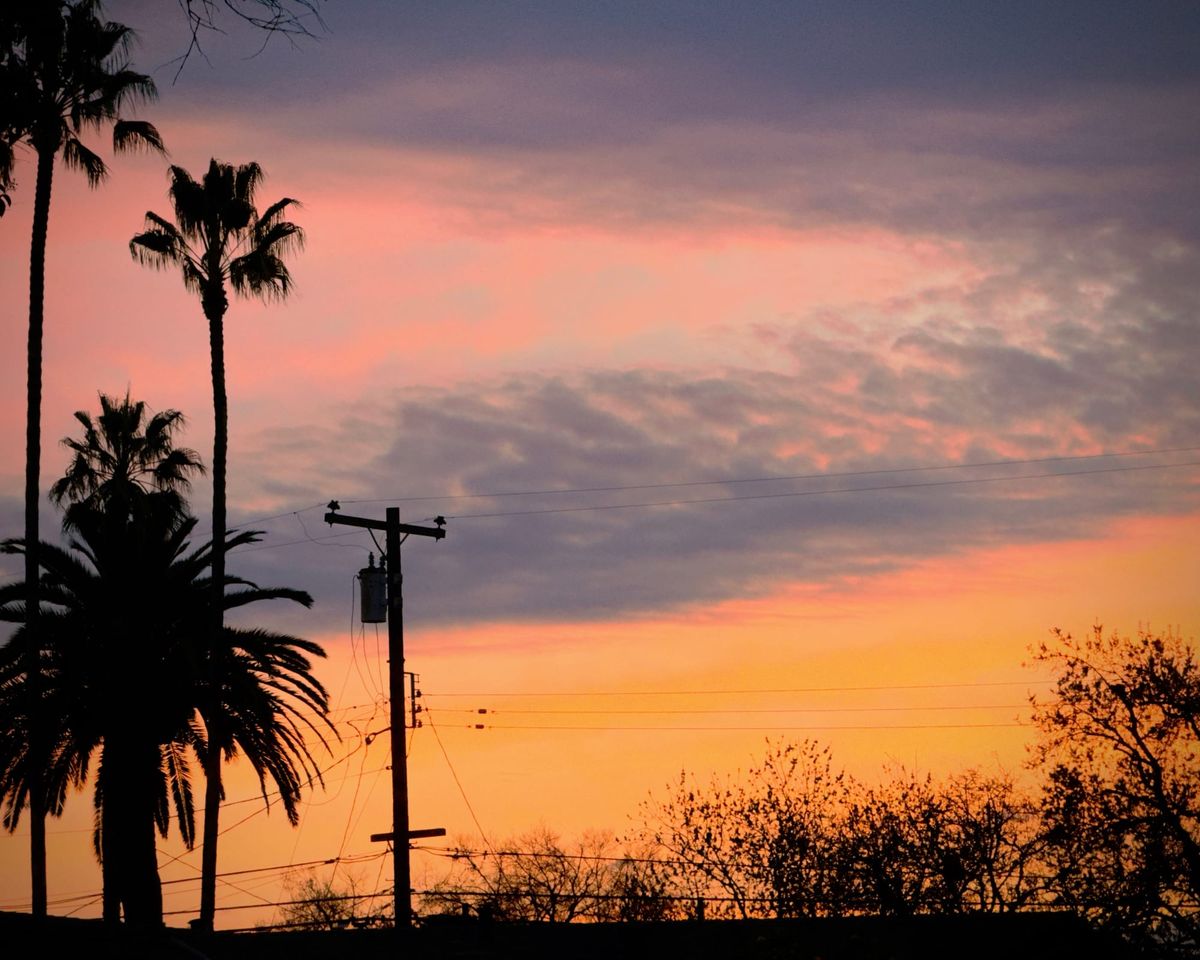 Sunset picture showing palm tree, power lines, and deciduous tree top silhouettes with pastel pinks, oranges, blues in the sky, and blue-gray cloud cover interspersed 