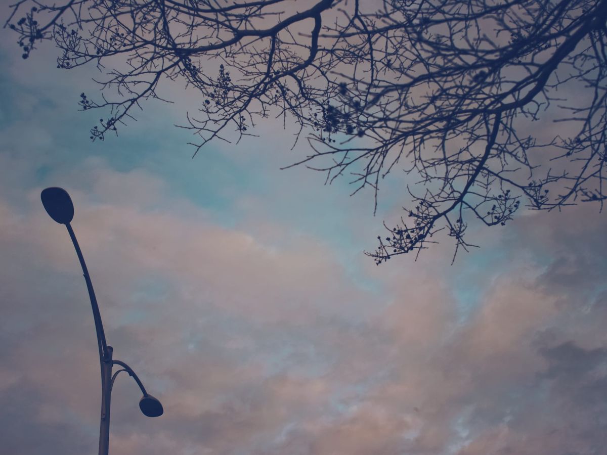 Looking up at a partially cloudy sky, big street lamp on the left, silhouetted tree branches along the top edge of the frame