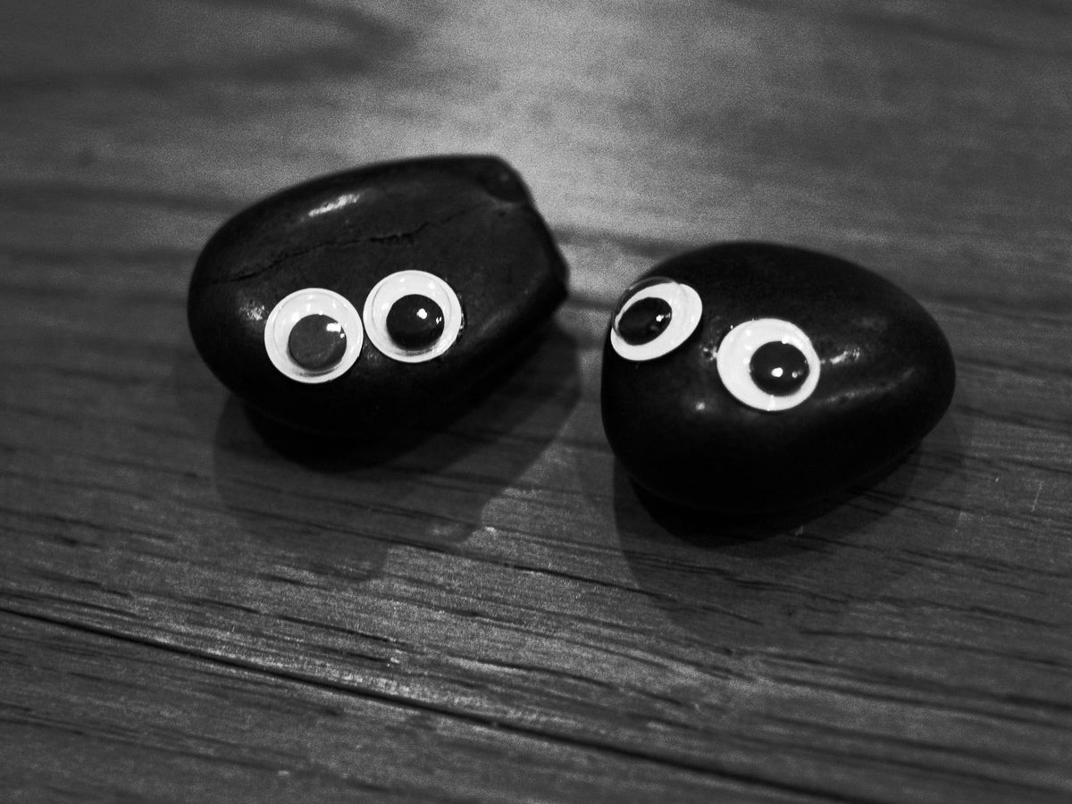 High-contrast black and white picture of two black stones with googly eyes, sitting on a wooden floor