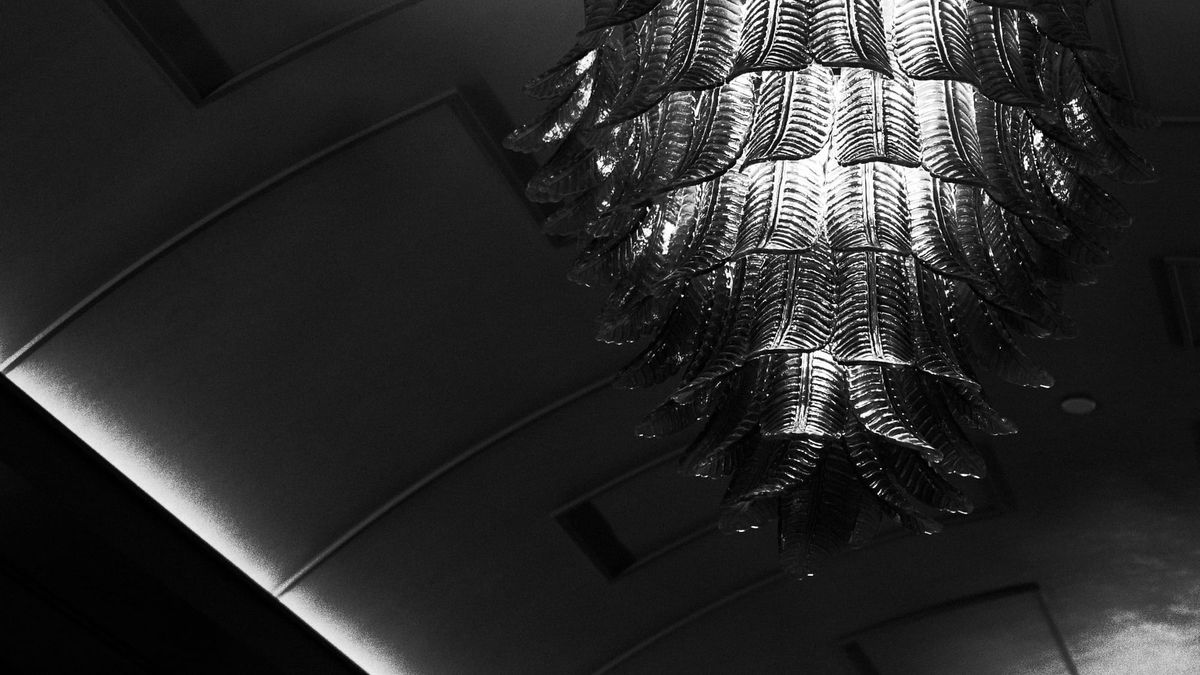 High contrast black and white image of a curved ceiling lit on the edges, and a light fixture made of curved glass "leaves" arranged in concentric circle tiers