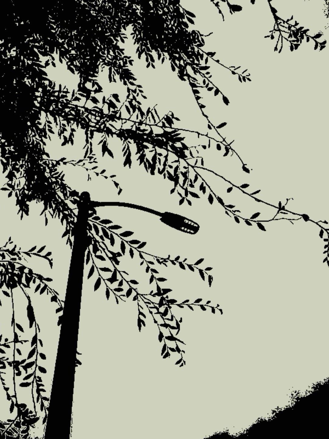 Pixelated, warm gray and black image of some delicate tree branches framing a street light