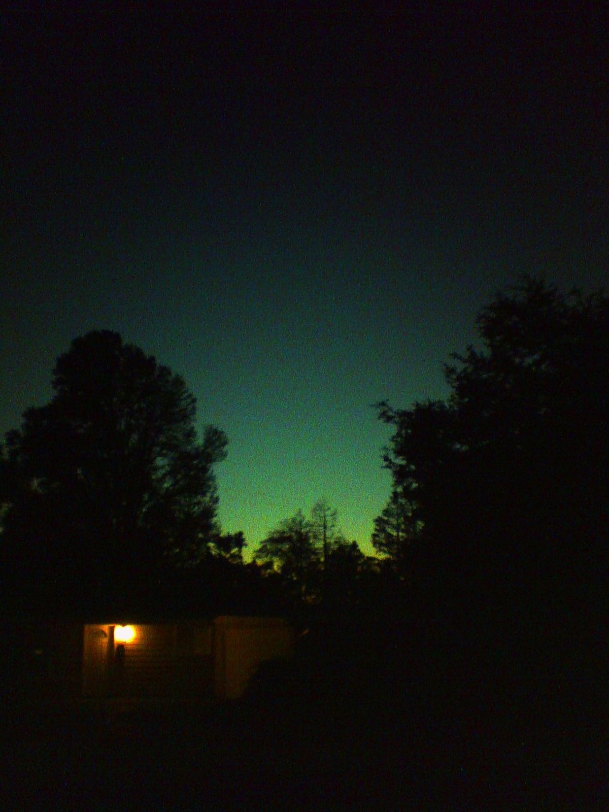 Late "blue hour" picture of sky with fading light, huge dark tree silhouettes, and a bright front house light in lower left corner