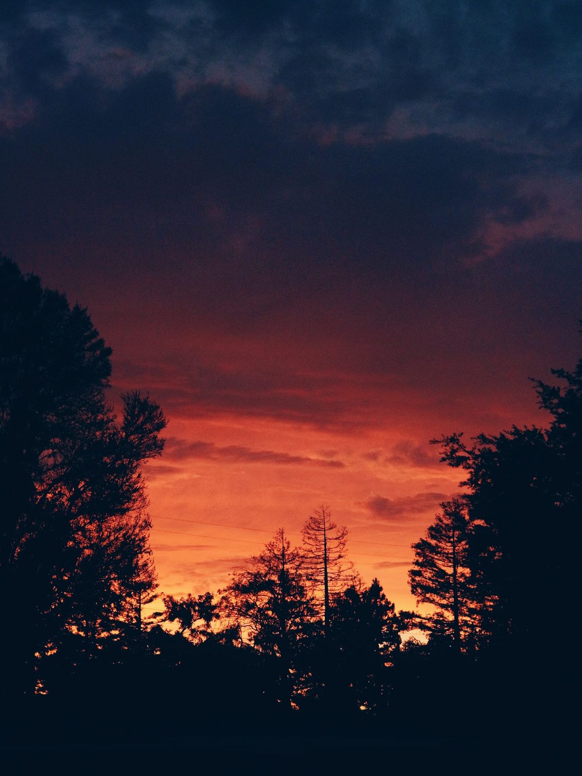 Vivid sunset in a partly cloudy sky with tree silhouettes bordering the bottom and sides of the frame