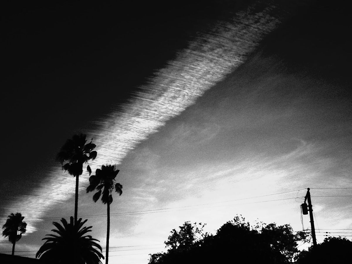Black and white image of a "ribbed" stripe of clouds placed diagonally across the sky behind palm trees, regular trees, and power lines in the foreground